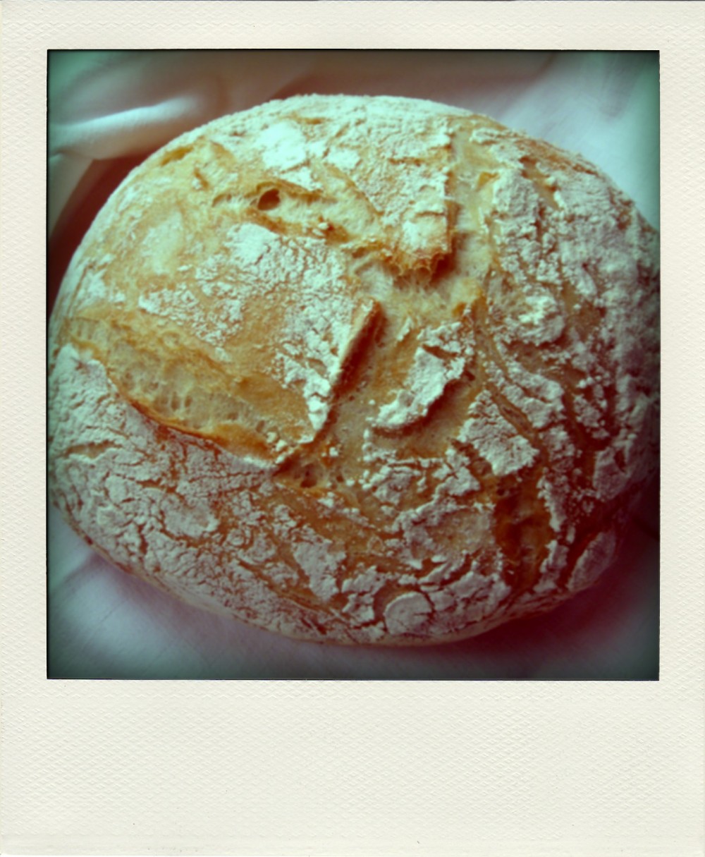 Mój Pierwszy Chleb